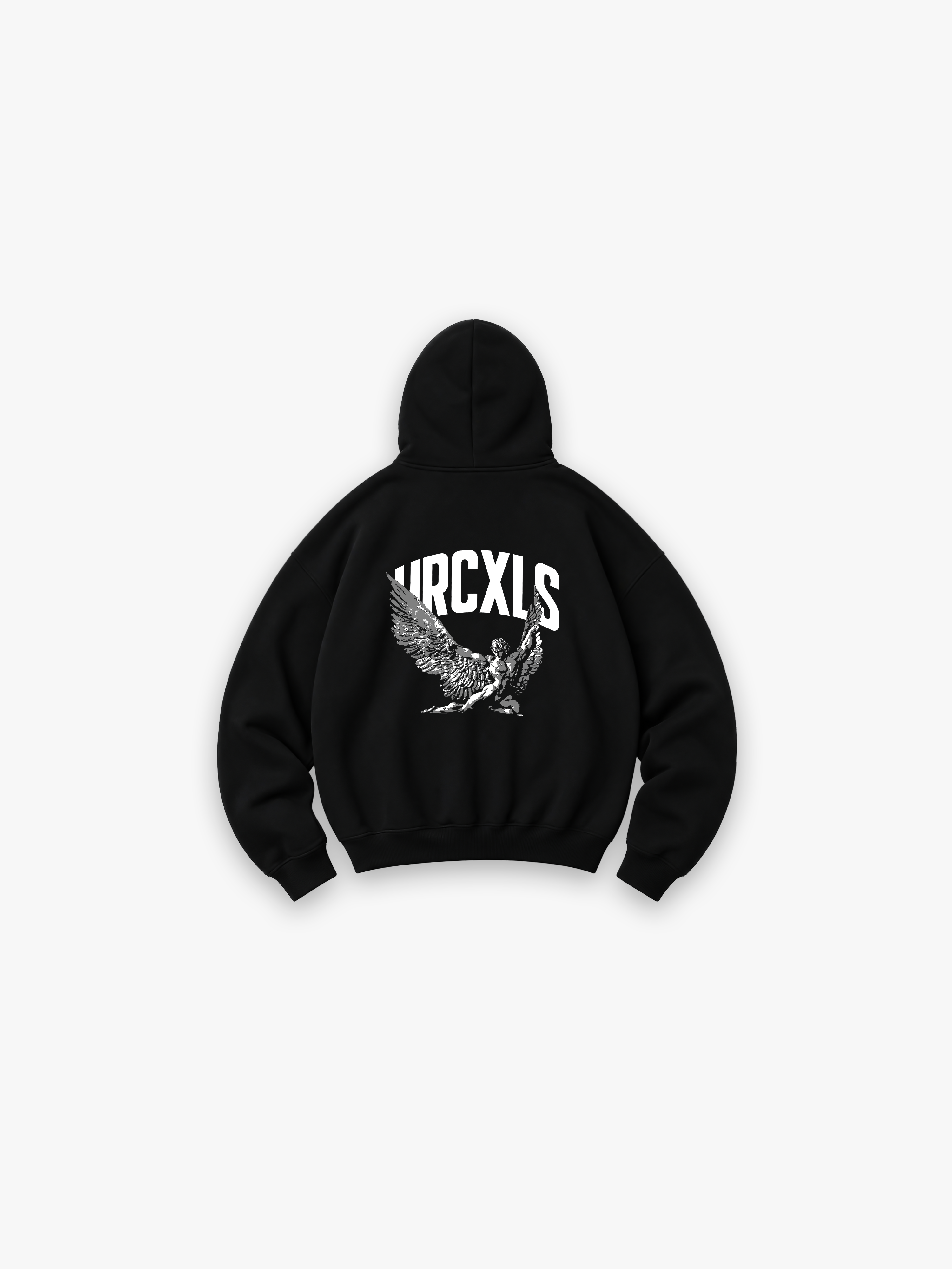 Icarus Hoodie